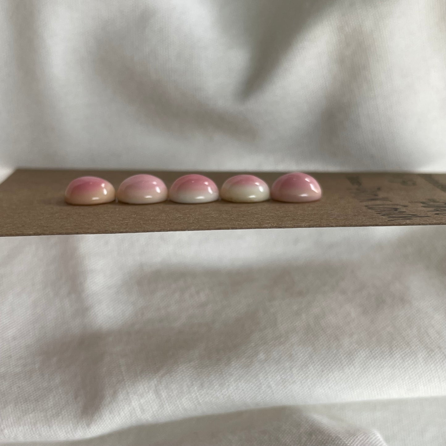 Pink Conch Cabochon - PC48
