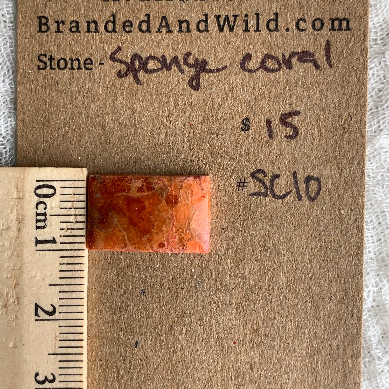 Sponge Coral Cabochon - SC10 5FF6107D-B946-4D43-ABA6-951463AF87D5 Brandedandwild.com