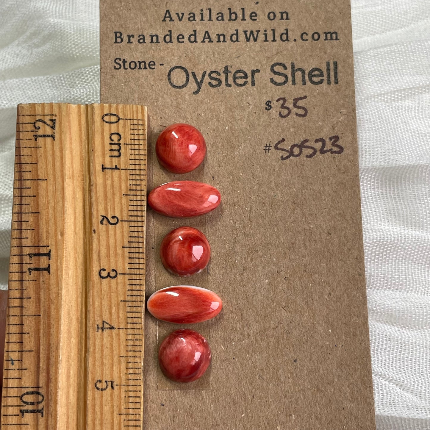 Oyster shell Cabochon - 0S23 5FFA7547-CE81-40C7-998C-039D63512975 Brandedandwild.com