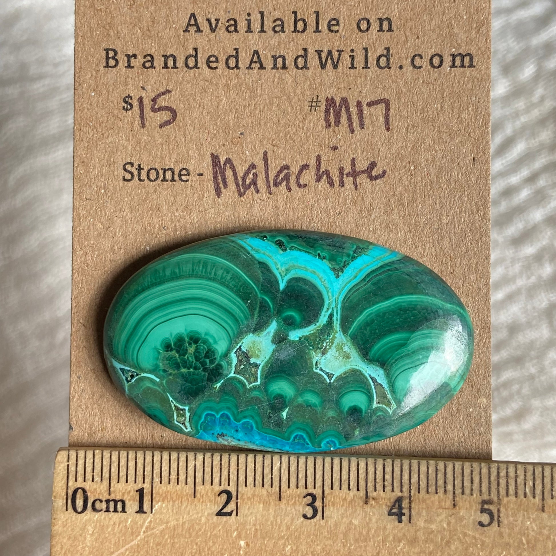 Malachite Cabochon - M17 6002BCB9-99D4-4321-80F9-C9CD368C8CC2 Brandedandwild.com