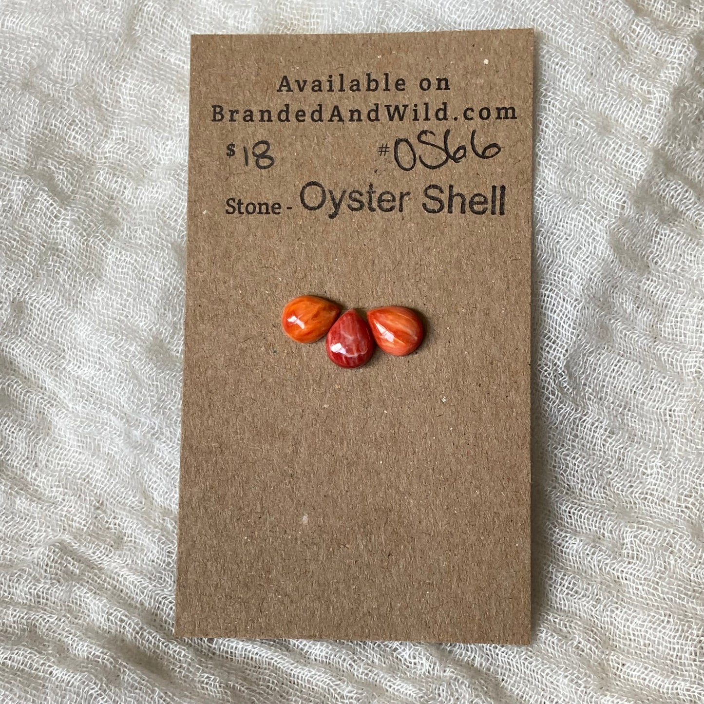 Oystershell Cabochon - OS66 6004B52F-E3BD-473A-882B-34C051B93CB5 Brandedandwild.com