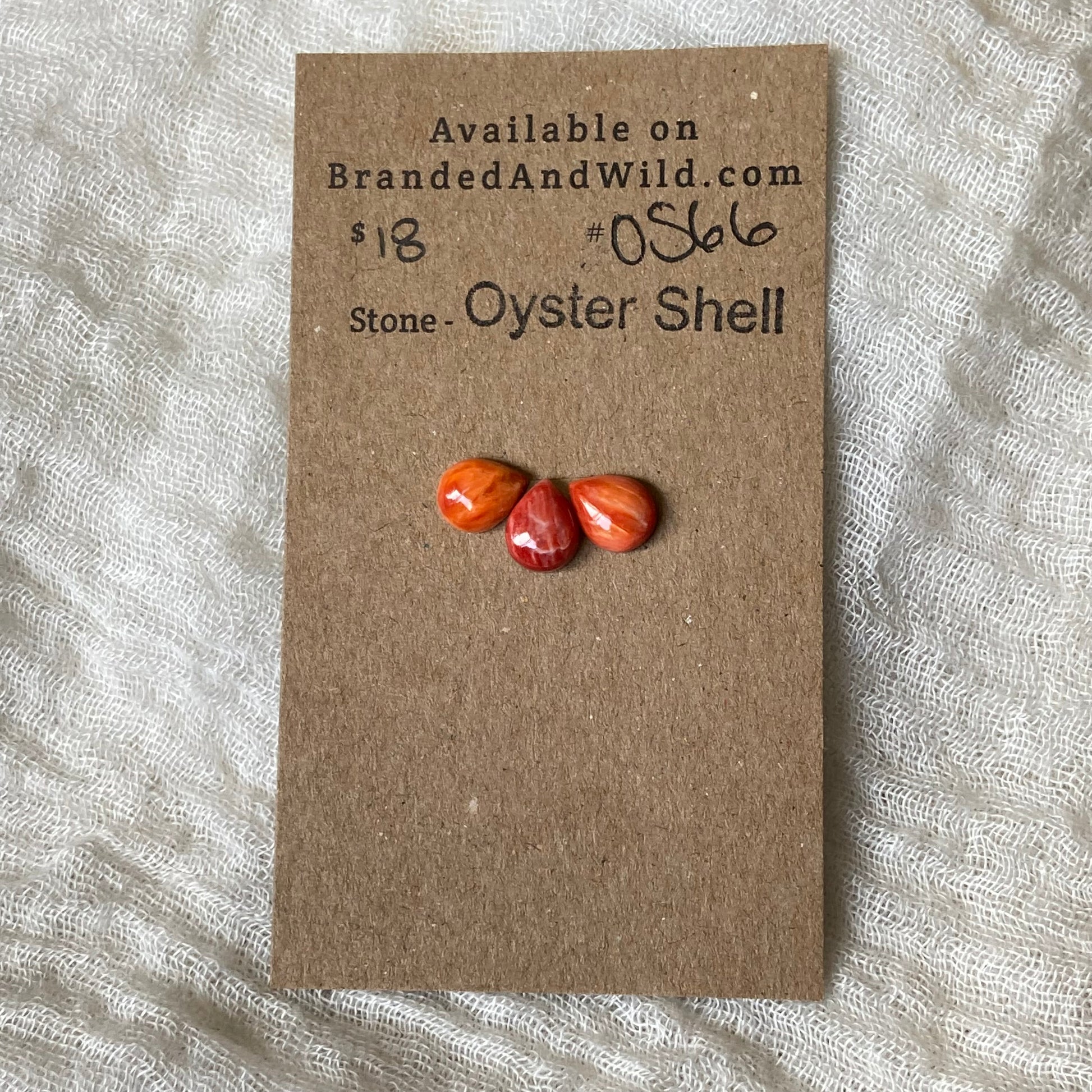 Oystershell Cabochon - OS66 6004B52F-E3BD-473A-882B-34C051B93CB5 Brandedandwild.com