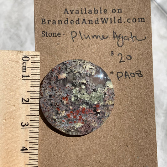 Plume Agate Cabochon - PA08