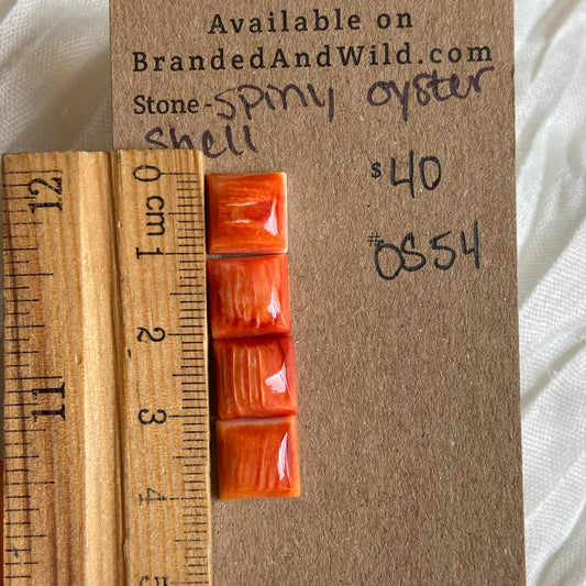 Oystershell Cabochon - OS54 60098833-746E-4FF2-969D-FCAE802896B0 Brandedandwild.com