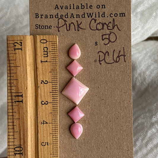 Pink Conch Cabochon - PC64