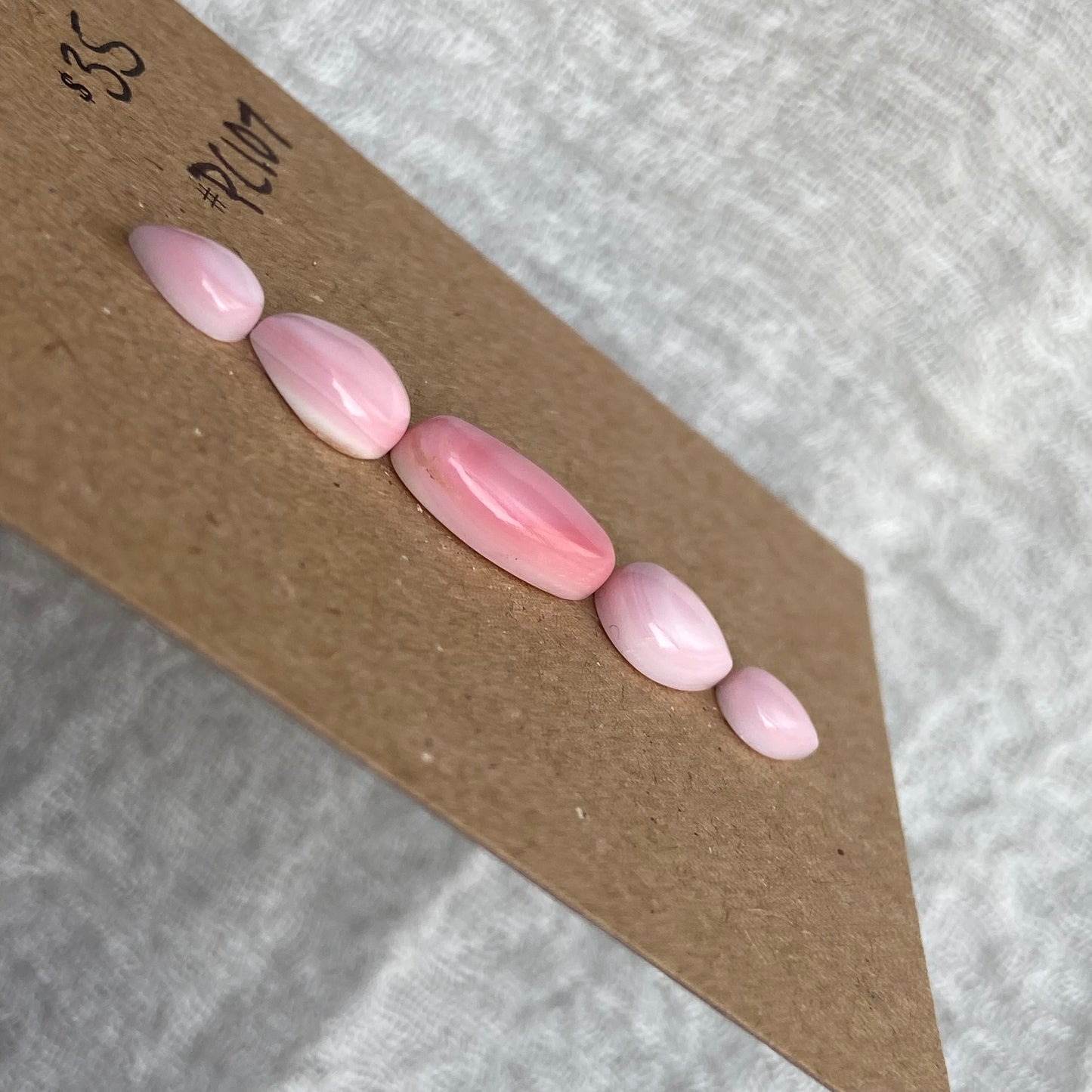 Pink Conch Cabochon - PC107