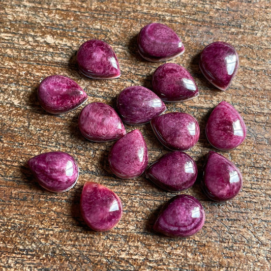 Purple Oyster Shell 7x9 6021C9DD-6CE5-4B9A-8A63-FBF96317C0D2 Brandedandwild.com