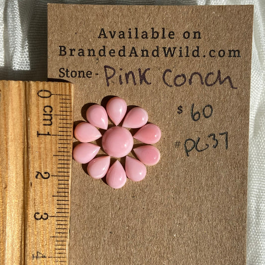 Pink Conch Cabochon - PC37 60413EE0-EC61-4573-8EE7-2D5588847BAA Brandedandwild.com