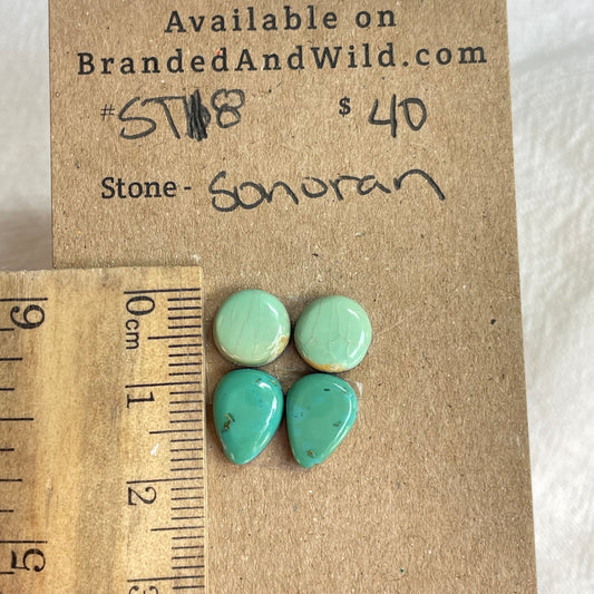 Sonoran Turquoise Cabochon - ST18 60436488-9717-4070-9A1E-4DC77A5D995E Brandedandwild.com