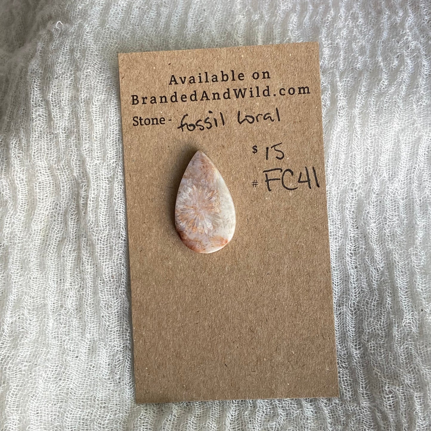 Fossil Coral Cabochon - FC41