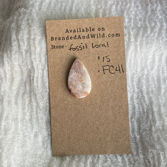 Fossil Coral Cabochon - FC41