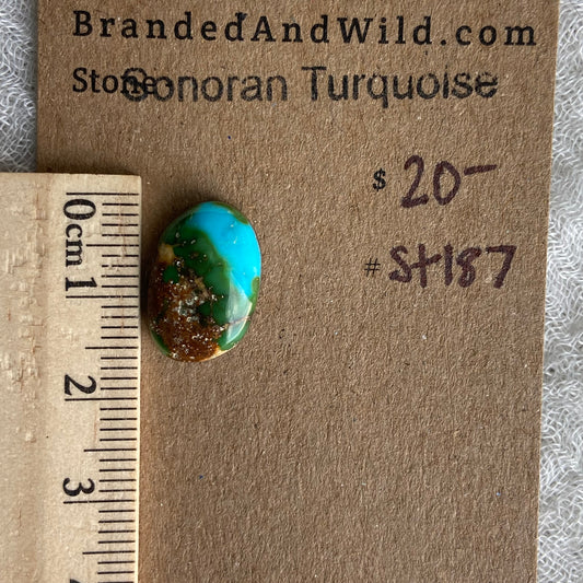Sonoran Turquoise Cabochon - ST187