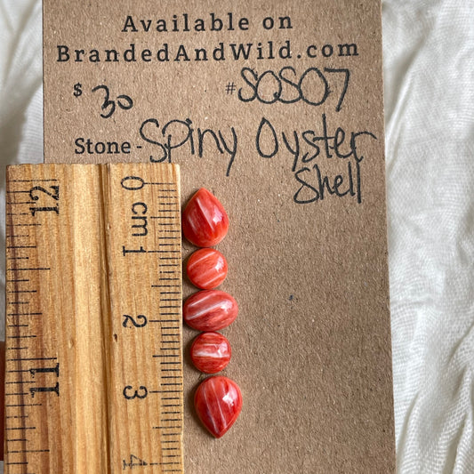 Spiny Oyster Shell Cabochon - SOS07 60521C7C-0799-46E9-B83F-CE81373ABA6D Brandedandwild.com