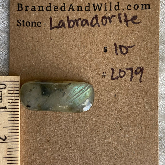 Labradorite Cabochon - L079