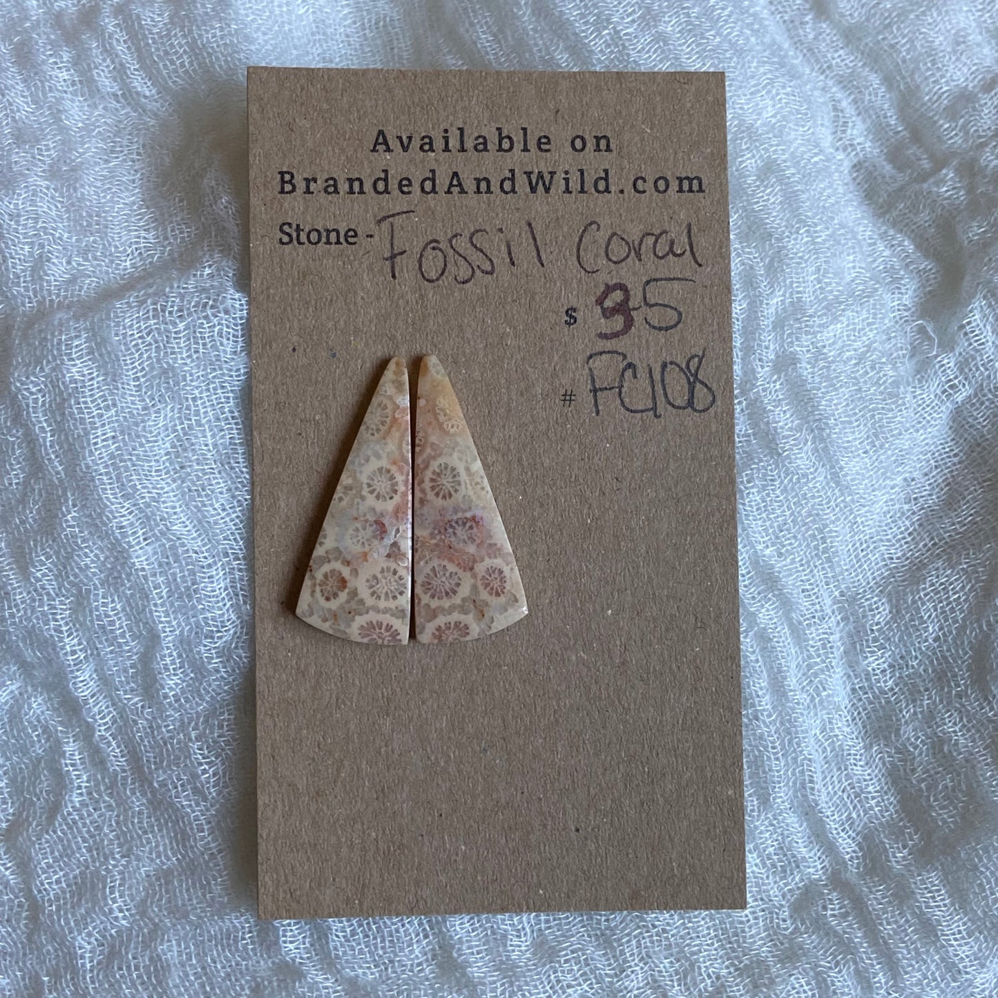 Fossil Coral Cabochon - FC108