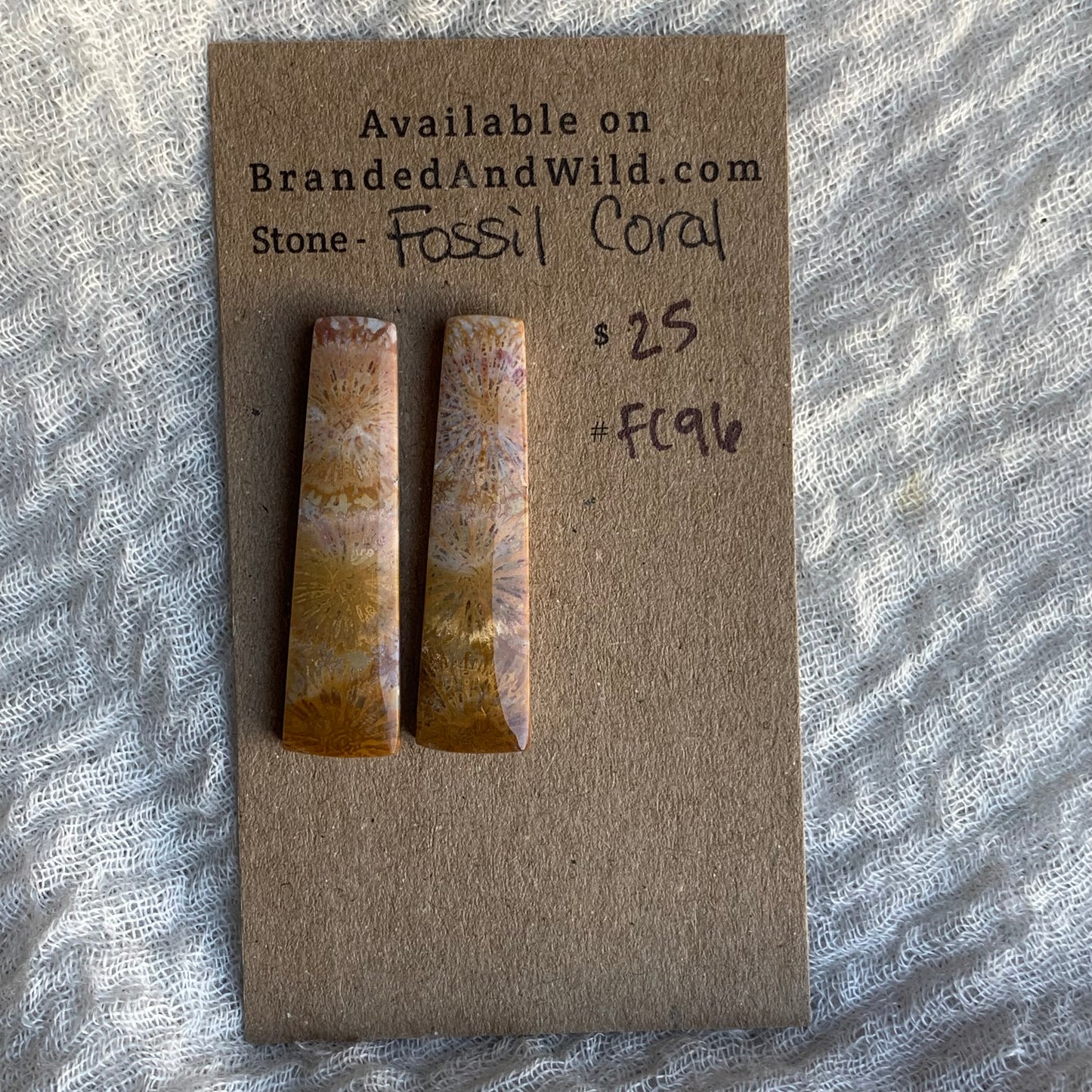 Fossil Coral Cabochon - FC96