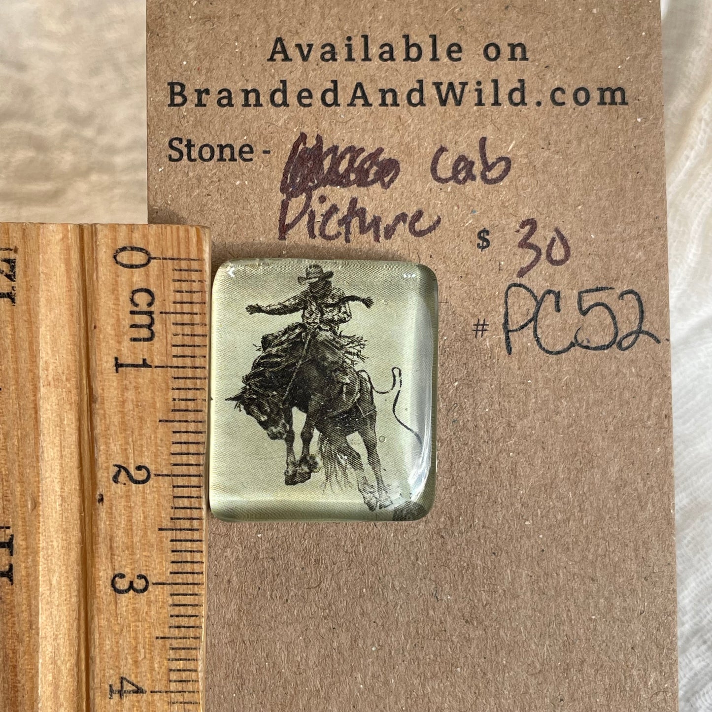 Picture Cabochon - Cabochon - PC52 607518E8-7F09-4BB2-9A43-B2C90213928D Brandedandwild.com