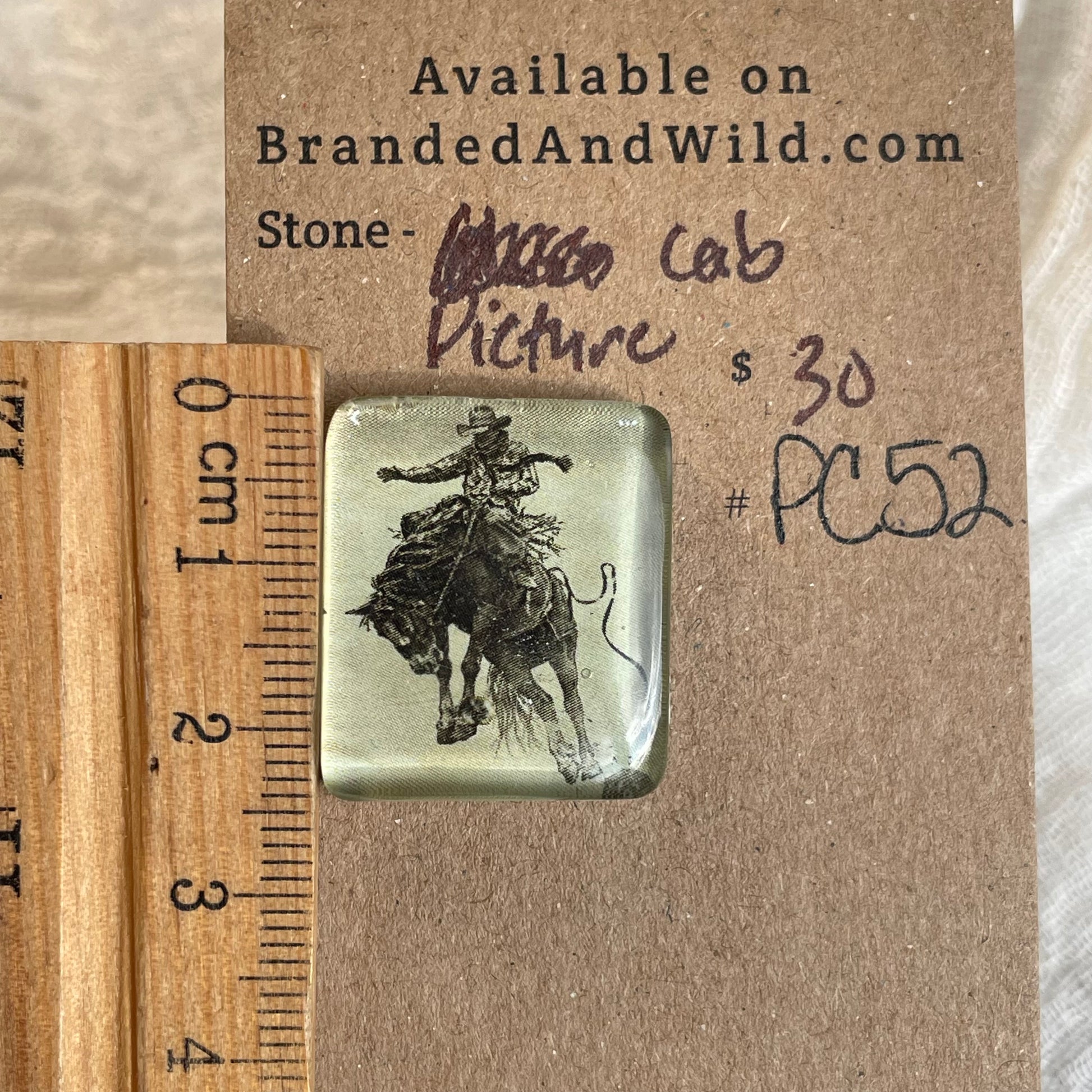 Picture Cabochon - Cabochon - PC52 607518E8-7F09-4BB2-9A43-B2C90213928D Brandedandwild.com