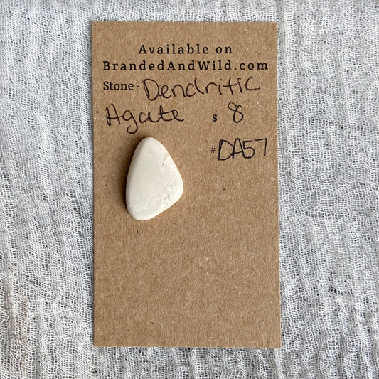 Dendritic Agate Cabochon - DA57
