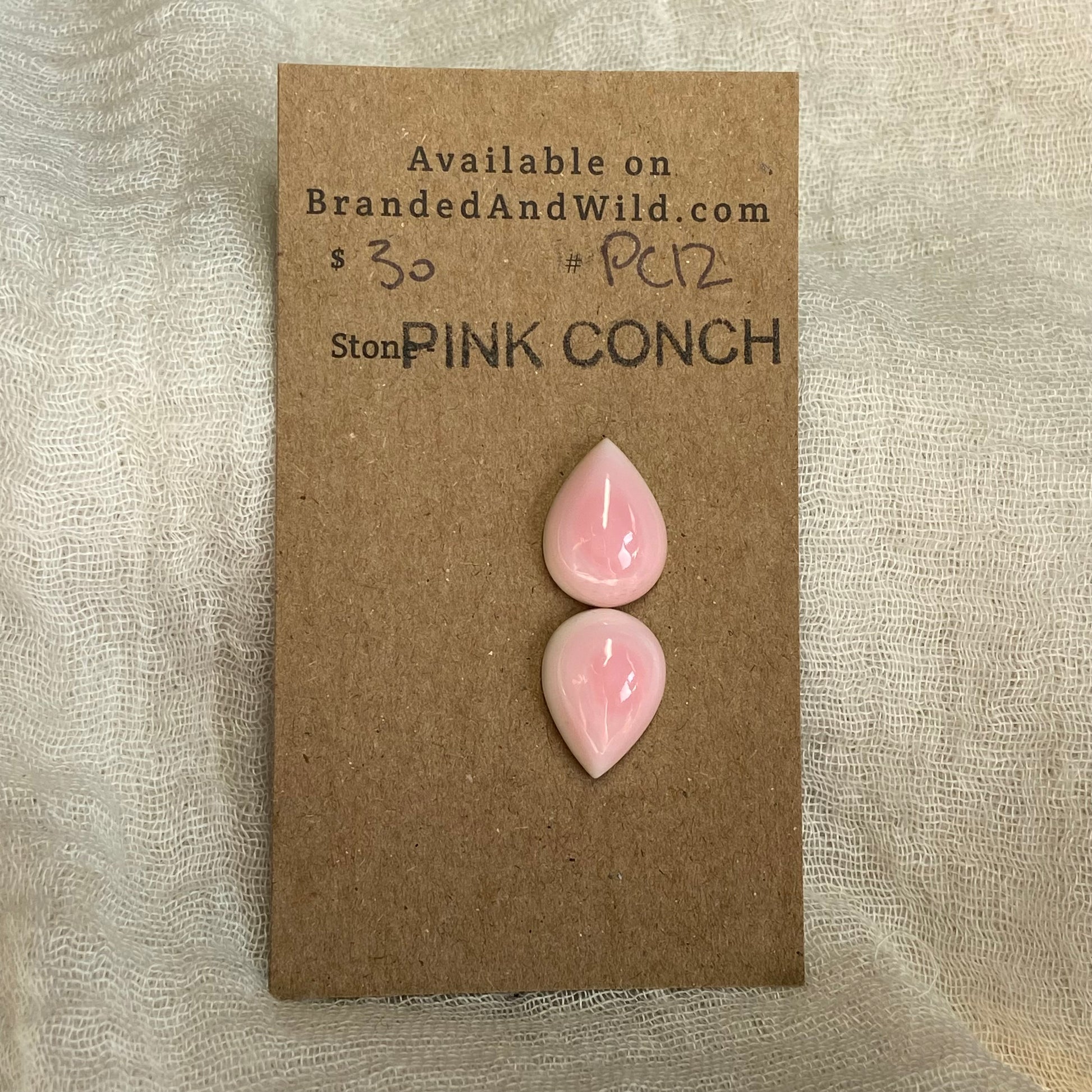 Pink Conch Cabochon - PC12 60ED5B31-0186-4FD0-8CEE-B712726919E0 Brandedandwild.com