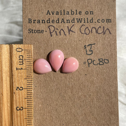 Pink Conch Cabochon - PC80 6138E2AA-3295-4649-877B-0F6BB847879C Brandedandwild.com