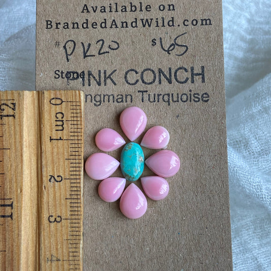 Pink Conch / Oyster Shell Cabochon - PK20 6194D03B-096A-4DF0-A297-EE7C8AD97EB5 Brandedandwild.com
