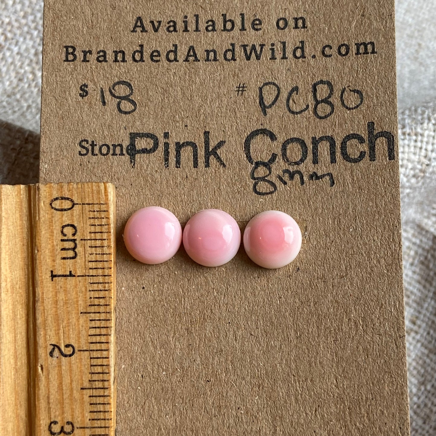 Pink Conch Cabochon - PC80 61A015D8-EFA2-4D20-B5AF-4487F755864B Brandedandwild.com