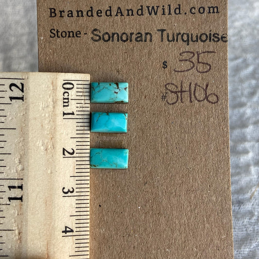 Sonoran Turquoise Cabochon - ST106