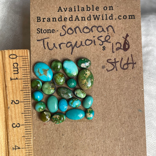 Sonoran Turquoise Cabochon - ST64