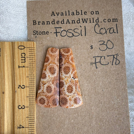Fossil Coral Cabochon - FC78