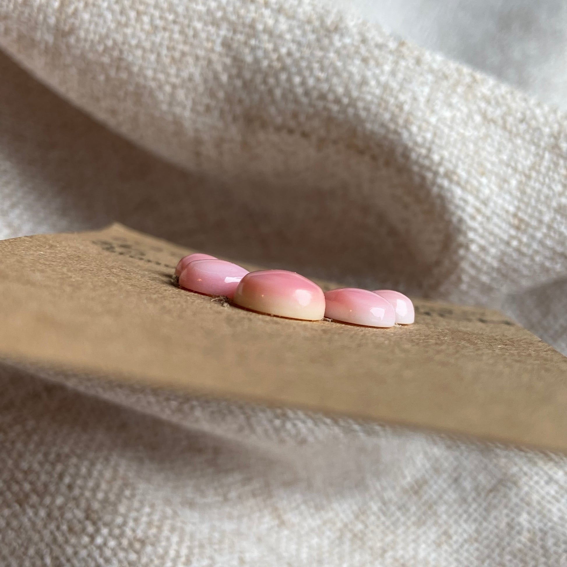 Pink Conch Cabochon - PC12 6244BCD4-58AA-40FA-9911-E841A94F3206 Brandedandwild.com