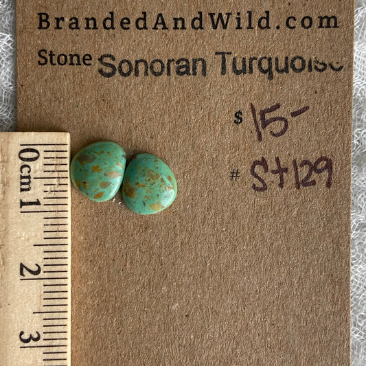 Sonoran Turquoise Cabochon - ST129