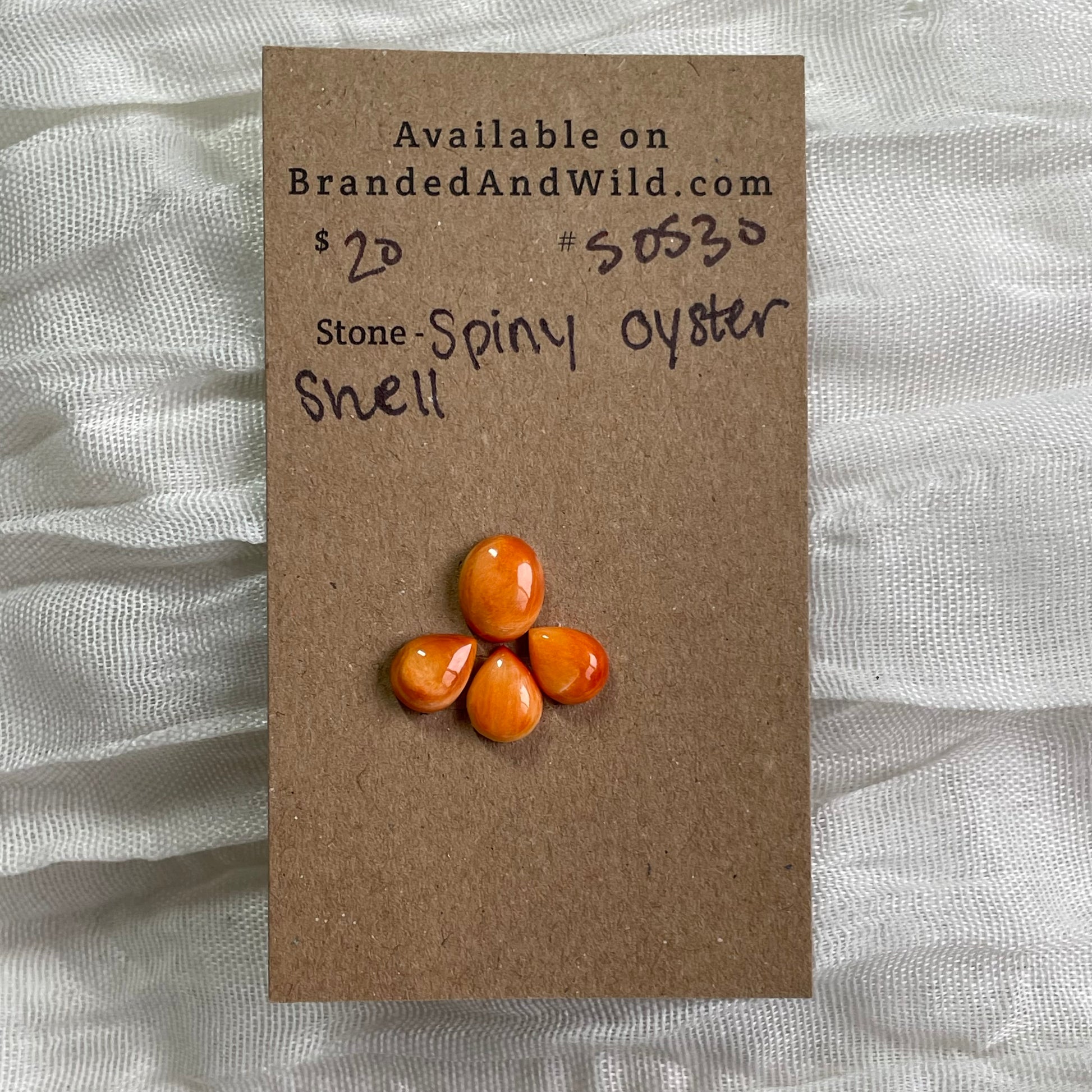 Oyster Shell Cabochon - S0S30 628B0DBA-084A-4A85-AB7B-2E31B402D76D Brandedandwild.com