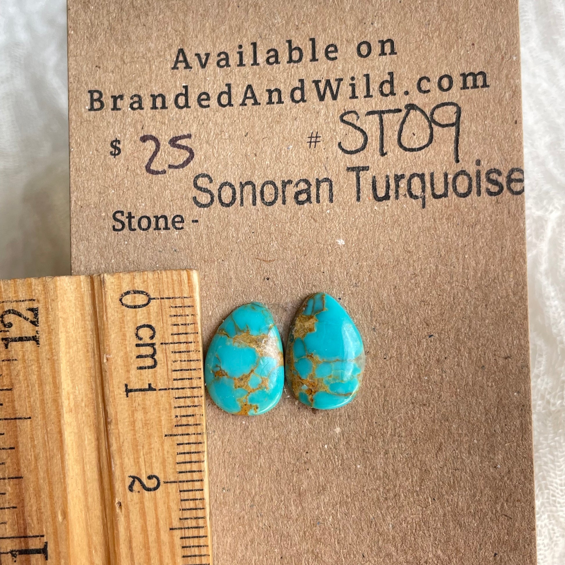 Sonoran Turquoise Cabochon - ST09 629F0D5E-4762-4F56-BDC0-6AD16F51BB5C Brandedandwild.com