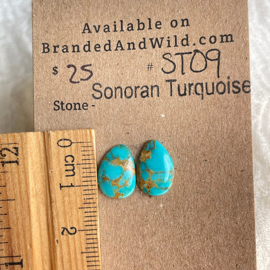 Sonoran Turquoise Cabochon - ST09 629F0D5E-4762-4F56-BDC0-6AD16F51BB5C Brandedandwild.com
