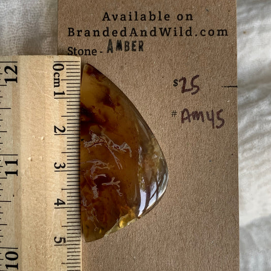 Amber Cabochon AM45