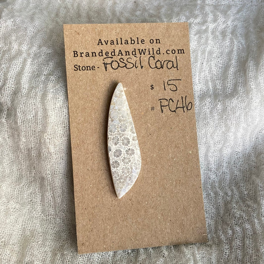 Fossil Coral Cabochon - FC46