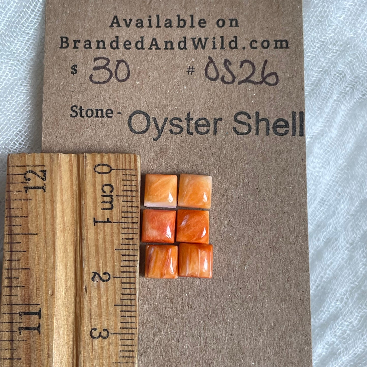 Oyster Shell Cabochon - OS26
