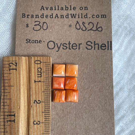 Oyster Shell Cabochon - OS26 632C3828-F8AF-4F5A-8B2F-43BEE9AAEA2E Brandedandwild.com