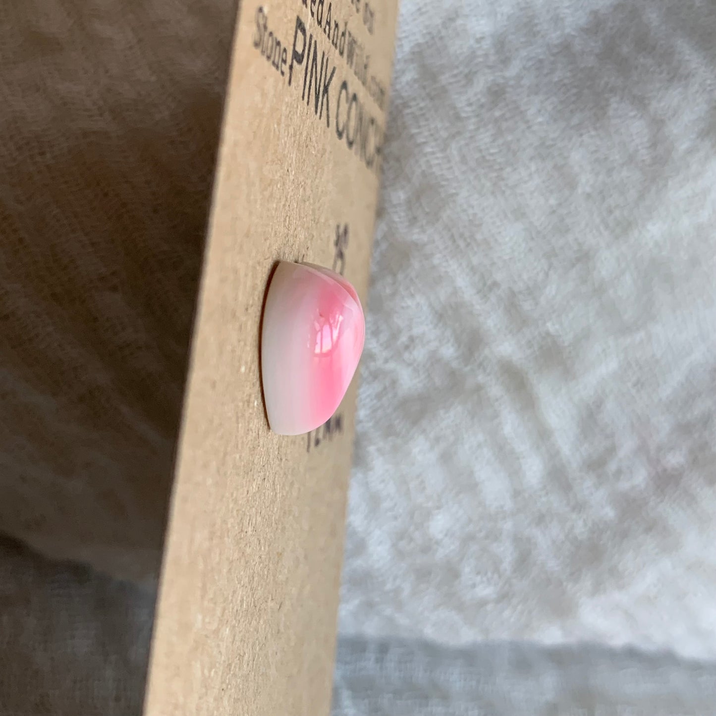 Pink Conch Cabochon - PC02