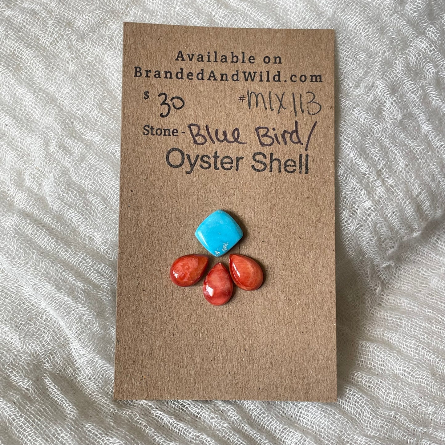 Oyster Shell / Blue Bird Cabochon - Mix113 6342C8C7-A775-4C98-9B9D-EE1703365732 Brandedandwild.com