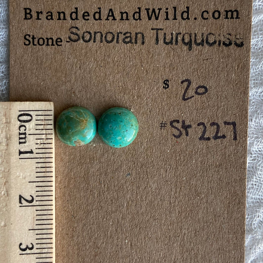 Sonoran Turquoise Cabochon - ST227