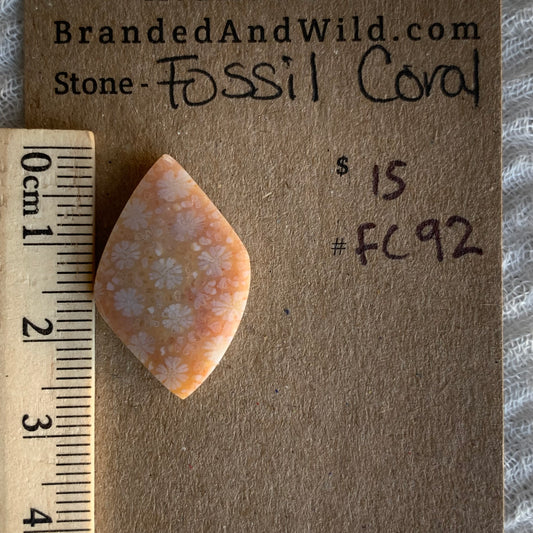 Fossil Coral Cabochon - FC92