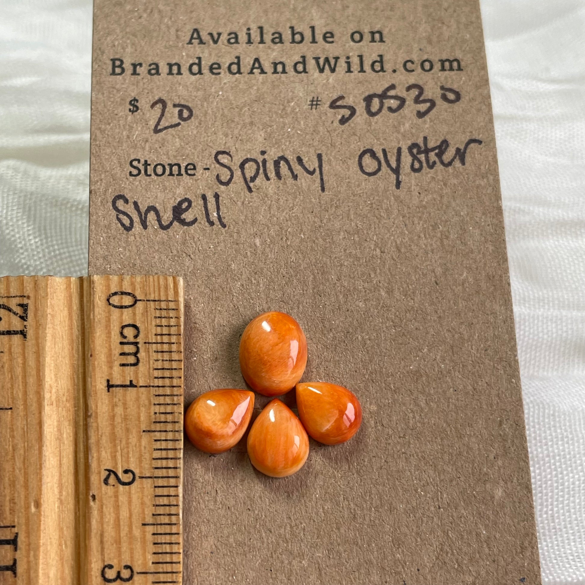 Oyster Shell Cabochon - S0S30 63837D1F-CD8F-414E-B3C9-23492039ABD1 Brandedandwild.com