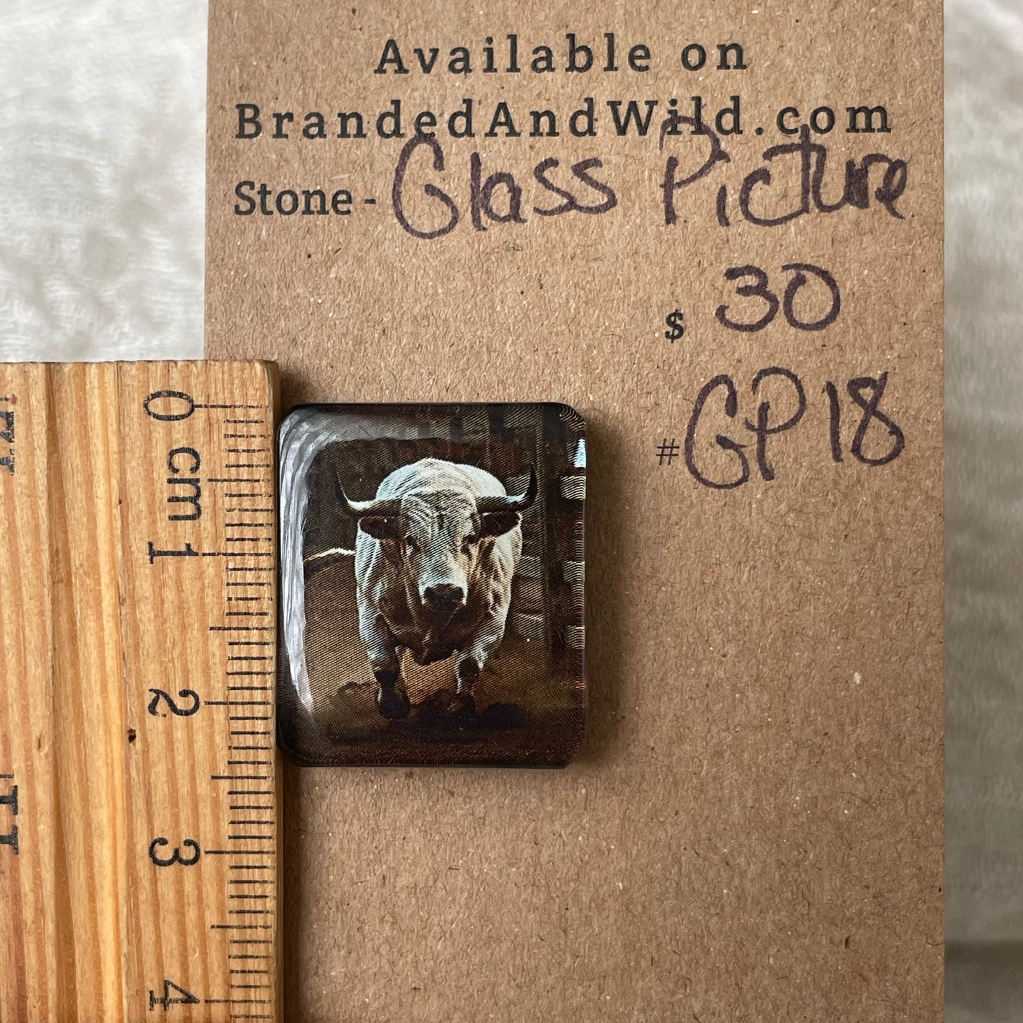 Glass Picture - Cabochon - GP18 63972B81-73A3-4CE8-9DB0-72E3F95019D7 Brandedandwild.com
