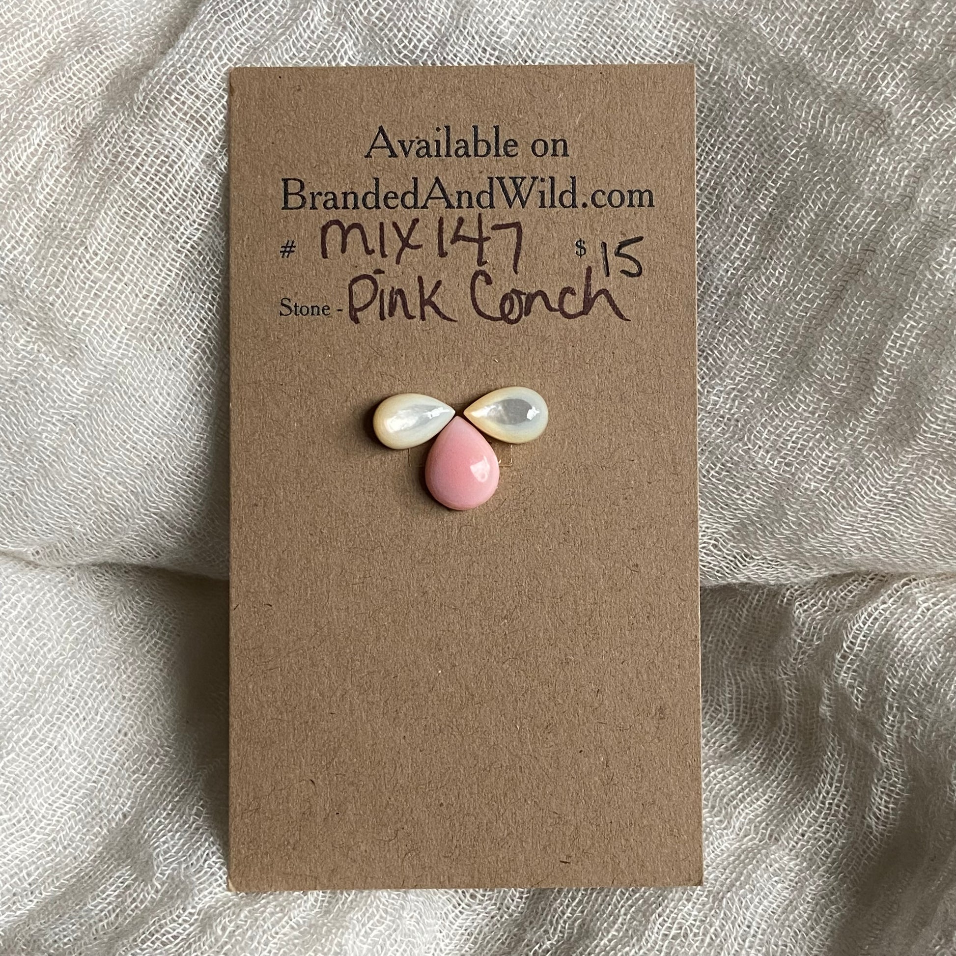 Pink Conch Mix Cabochon - MIX147 6397B0B1-54A2-41EB-AE42-63A8A9311379 Brandedandwild.com