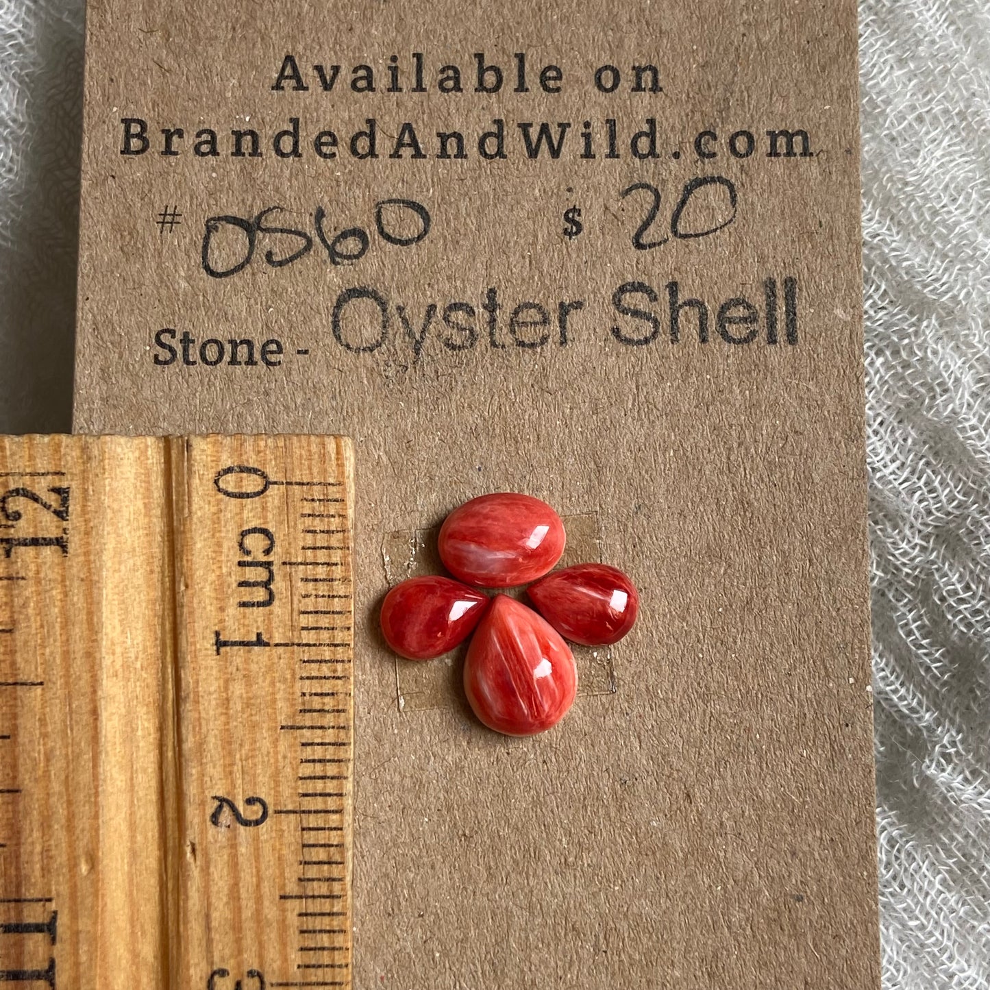 Oyster Shell Cabochon - OS60