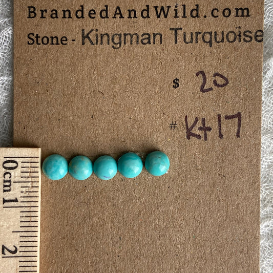 Kingman Turquoise Cabochon - KT17