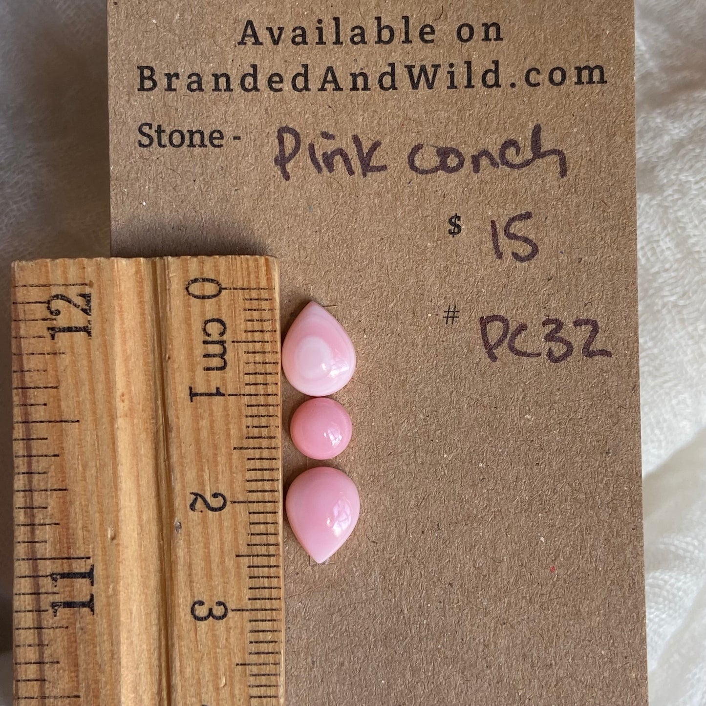 Pink Conch Cabochon - PC32