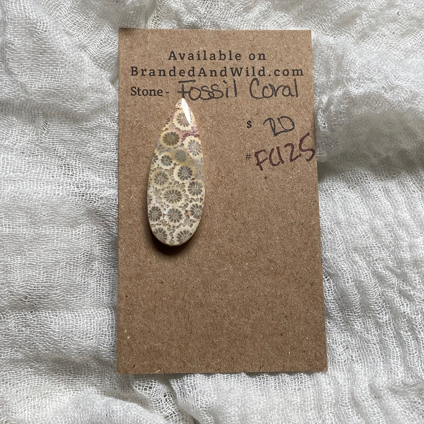 Fossil Coral Cabochon - FC125
